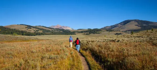 Terrace Mountain Loop: The Quiet Mountains of Yellowstone