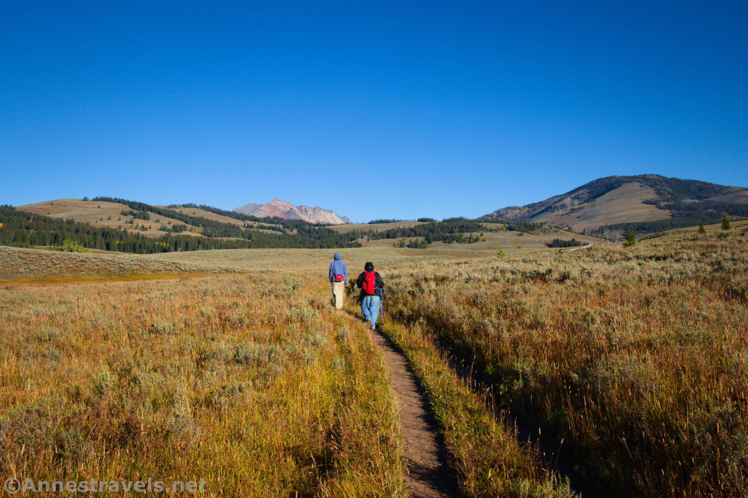 Hiking through the meadows of the Terrace Mountain Loop, Yellowstone National Park, Wyoming