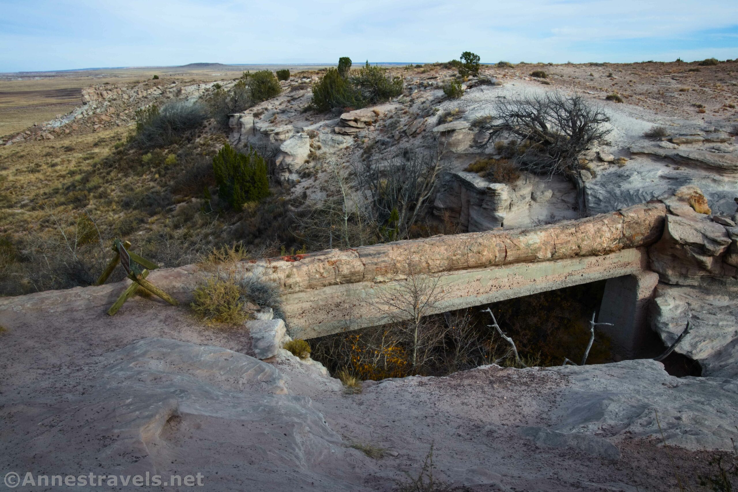Agate Bridge in Petrified Forest National Park, Arizona