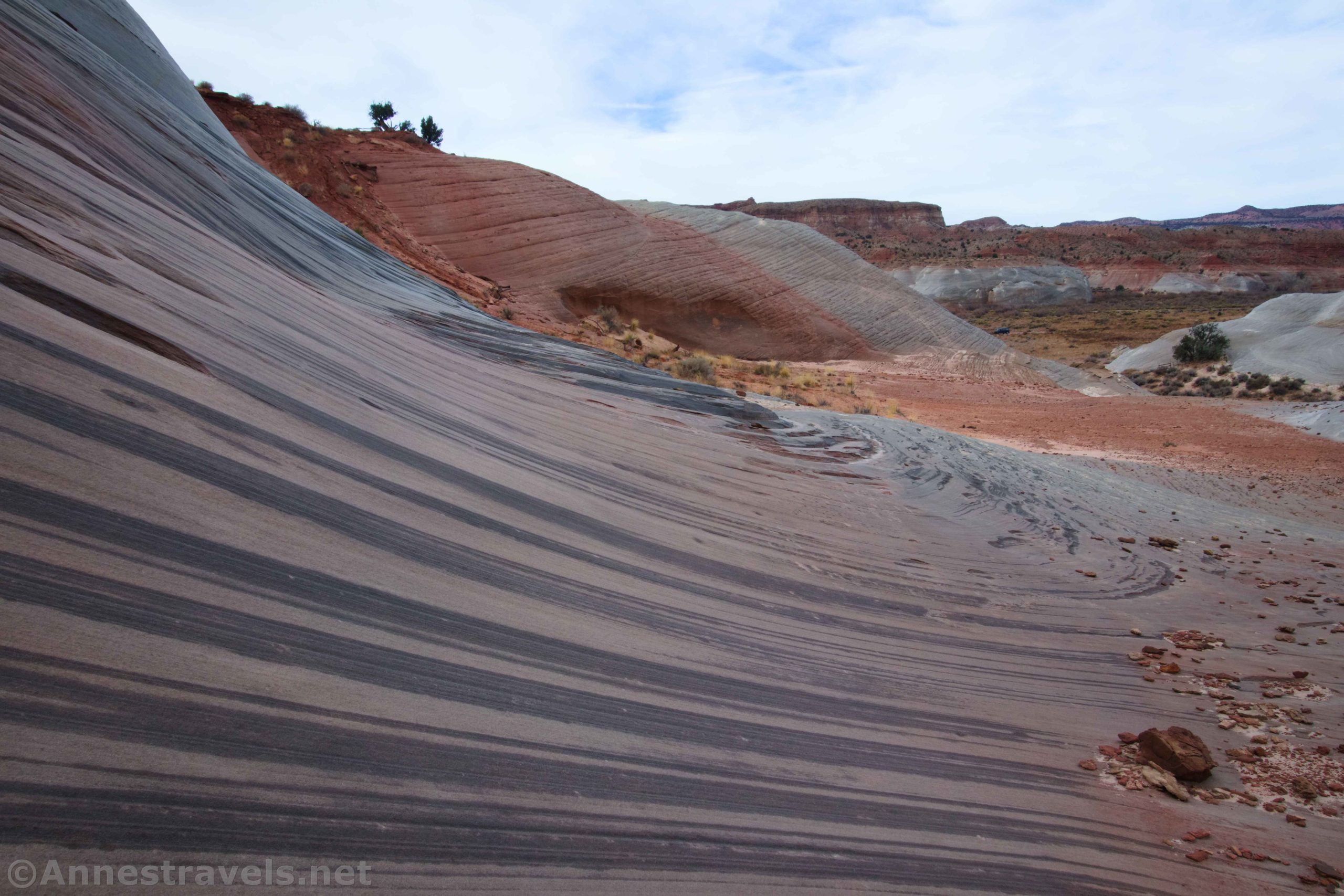 Stripes in a rock along the wash that leads to the Nautilus, Grand Staircase-Escalante National Monument, Utah