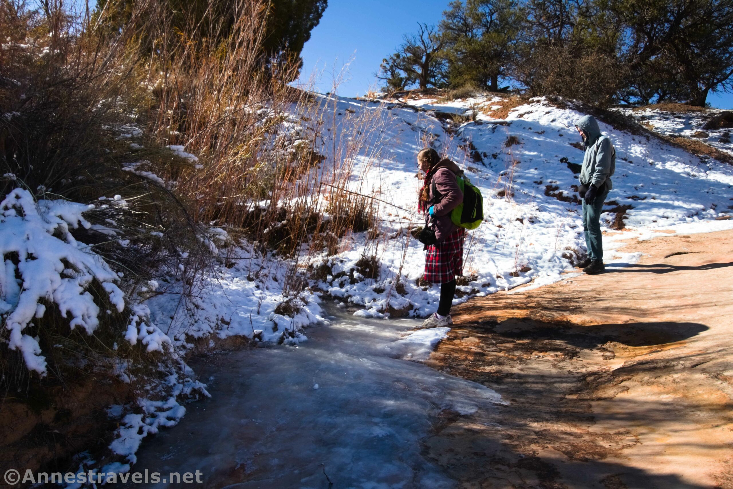 Looking at the very frozen French Spring in the Maze District of Canyonlands National Park, Utah