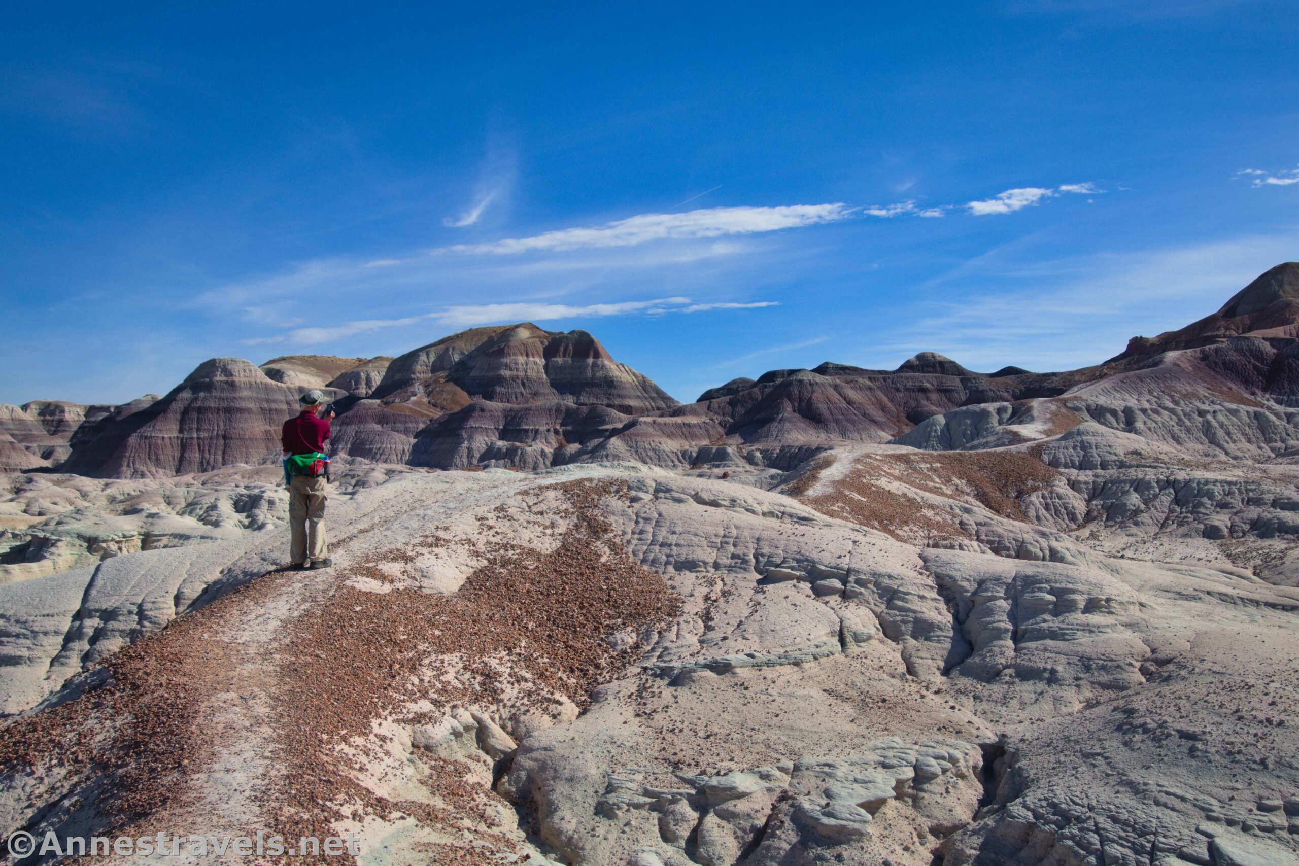 Hiking the Blue Forest Route in Petrified Forest National Park, Arizona