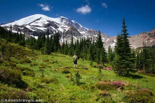 Hiking up the meadows between the old road and the Climber's Trail, Mount Rainier National Park, Washington