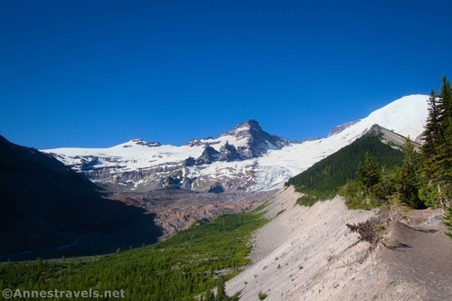 Looking up Emmons Moraine above the Emmons Glacier, Mount Rainier National Park, Washington