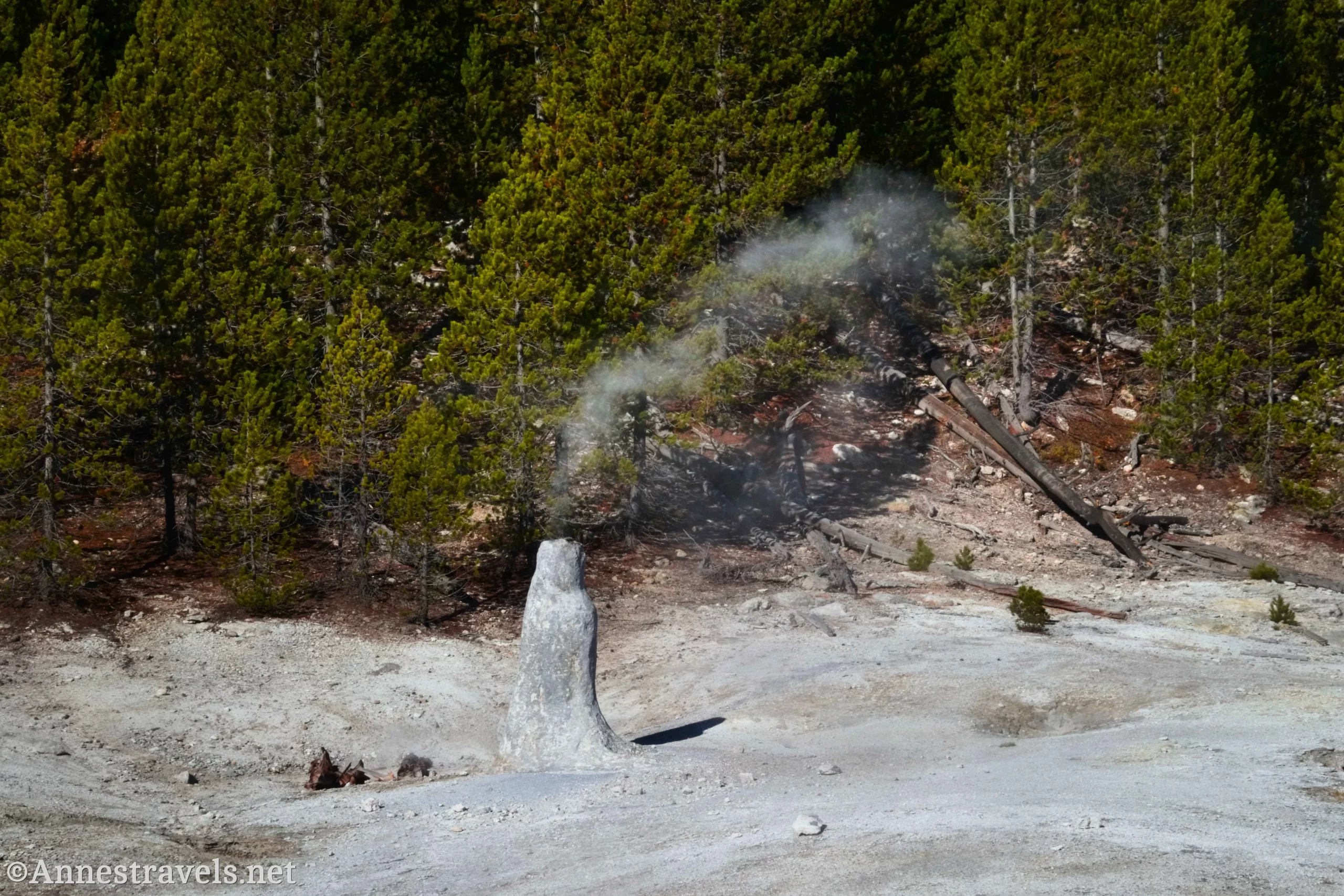 A smoking geothermal stack in the Monument Geyser Basin, Yellowstone National Park, Wyoming