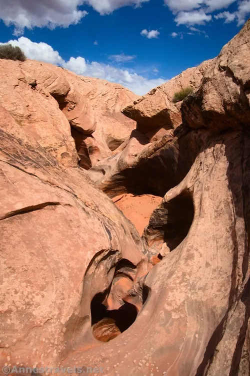 Potholes in Willow Springs Canyon, Arches National Park, Utah