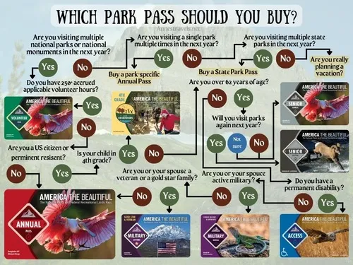 Which national park pass should you buy? Decision Tree