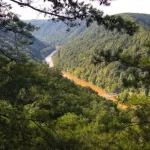 Views up New River Gorge from the Canyon Boardwalk Overlook, New River Gorge National Park, West Virginia