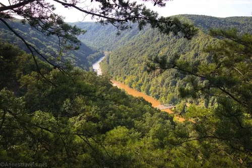 Views up New River Gorge from the Canyon Boardwalk Overlook, New River Gorge National Park, West Virginia