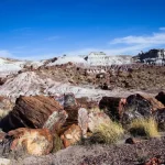 Petrified wood and badlands along the Jasper Forest Route, Petrified Forest National Park, Arizona