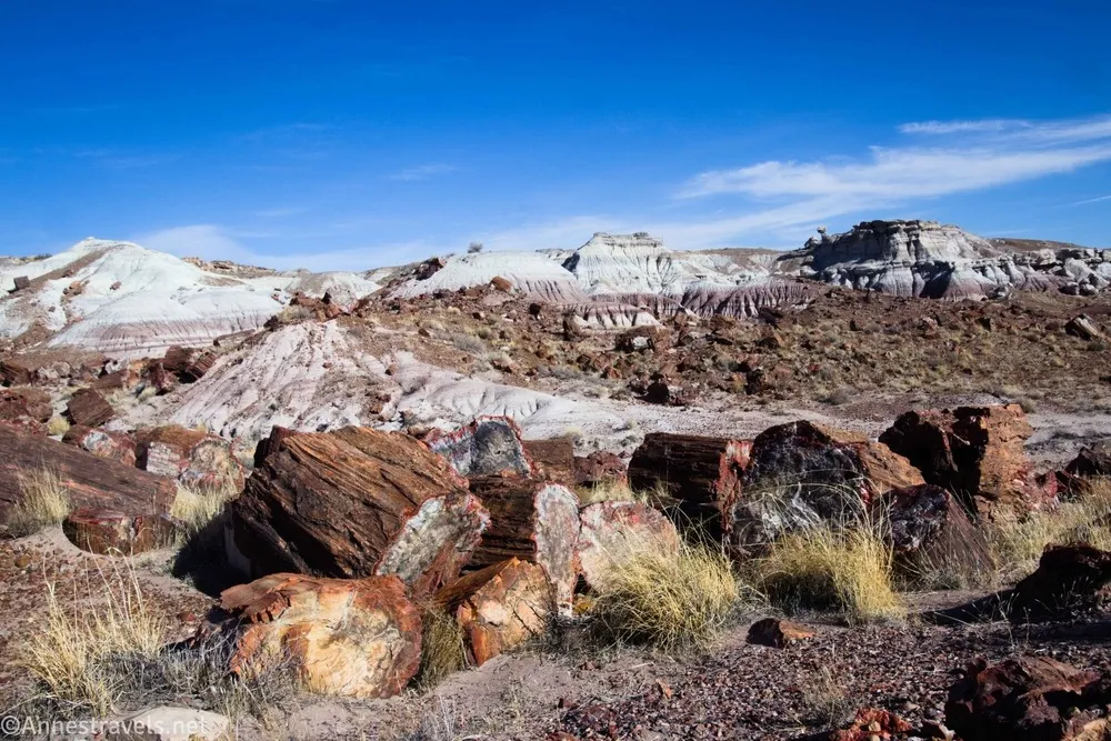 Petrified wood and badlands along the Jasper Forest Route, Petrified Forest National Park, Arizona