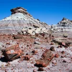 Petrified wood on the way to First Forest Point, Petrified Forest National Park, Arizona