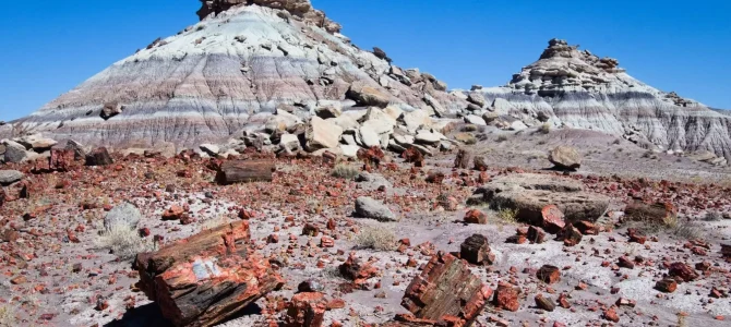 First Forest Point in Petrified Forest First Forest Point in Petrified Forest