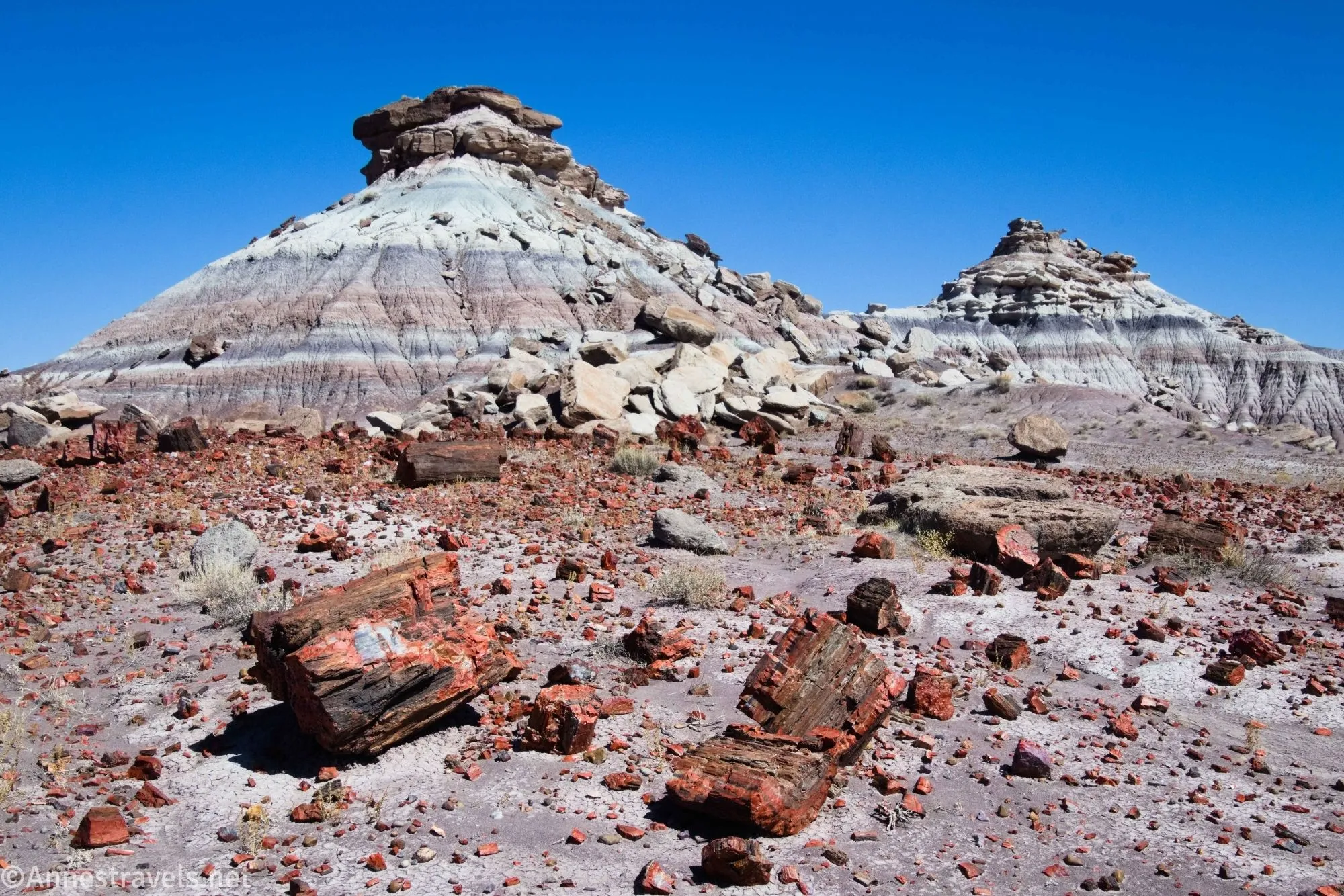 Petrified wood on the way to First Forest Point, Petrified Forest National Park, Arizona