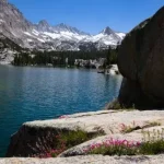 Wildflowers on the edge of Blue Lake above Lake Sabrina, Inyo National Forest, California