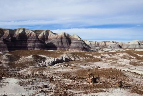 Badlands and petrified wood along the Blue Mesa Trail, Petrified Forest National Park, Arizona