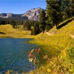Along the eastern shore of Trout Lake, Yellowstone National Park, Wyoming