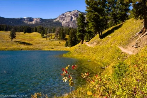 Along the eastern shore of Trout Lake, Yellowstone National Park, Wyoming