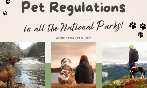 Where Pets can Hike in All 63 National Parks! Where Pets can Hike in All 63 National Parks!