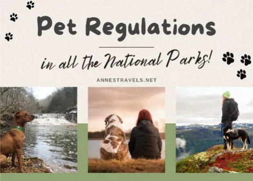 Three photos of dogs enjoying the outdoors with the text Pet Regulations in all the national parks!