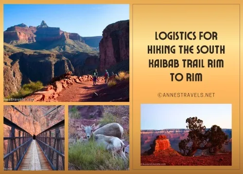 Photos of the Grand Canyon, including the trail, Black Bridge, a baby big horn sheep, and sunrise