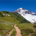 A trail strikes through meadows toward a snowy Mount Hood