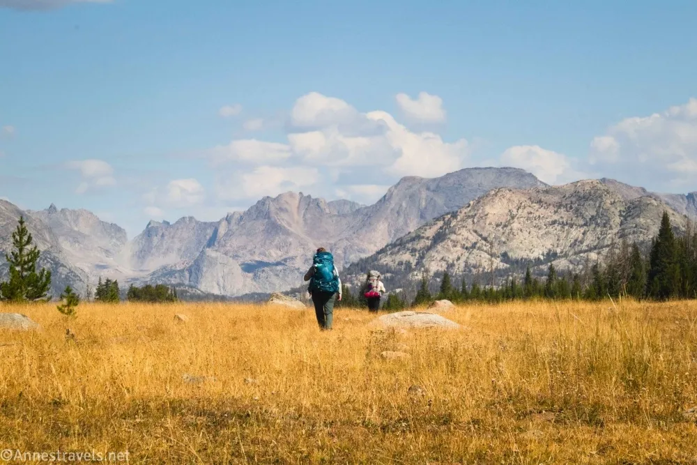 Two backpackers stand in a yellow meadow of grass with mountains, blue skies, and clouds in the background