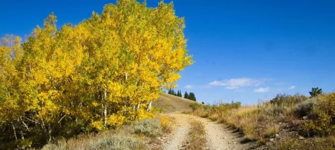 Sneak Peek: The Wasatch and the Uintas!