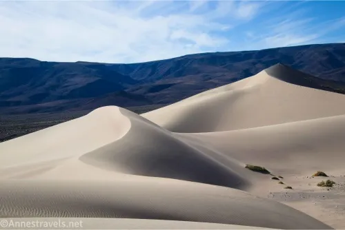 Sand dunes rise in curves, backed by dark mountains and blue skies