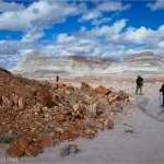 A pile of petrified wood in beside three hikers with clouds and badlands beyond