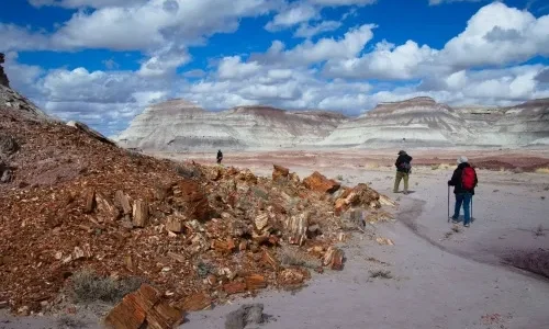 Clam Basin & Red Beds Route