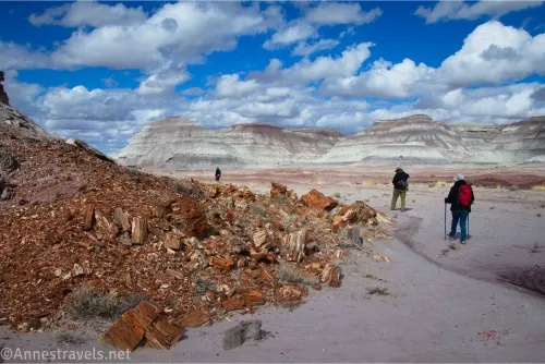 A pile of petrified wood in beside three hikers with clouds and badlands beyond