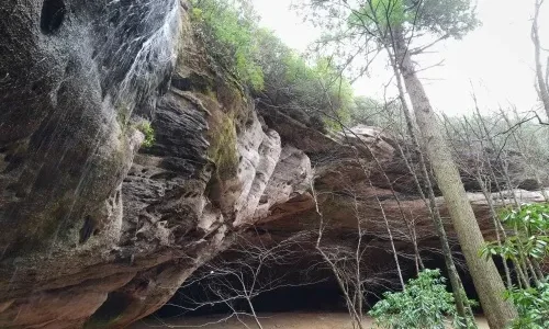 A Few of the Best Trails in SW Virginia A Few of the Best Trails in SW Virginia