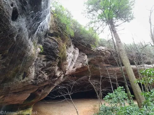 A cliff topped with greenery has a sandy bottom and a waterfall over the left side
