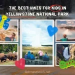 Photos of Yellowstone National Park with the text The Best Hikes for Kids in Yellowstone National Park along with hearts, a butterfly, and a caterpillar