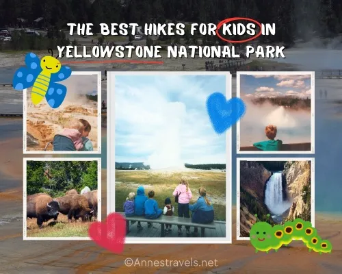 Photos of Yellowstone National Park with the text The Best Hikes for Kids in Yellowstone National Park along with hearts, a butterfly, and a caterpillar