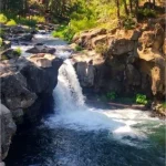 A waterfall tumbles over a cliff into a pool with trees in the background