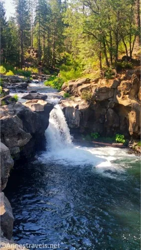 A waterfall tumbles over a cliff into a pool with trees in the background
