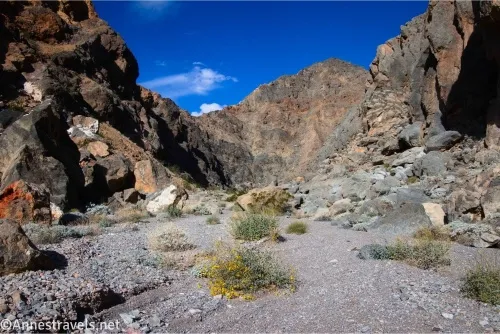 A desert canyon filled with gravel and brush bounded by rocky cliff walls