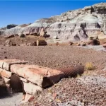 A culvert in a stone wall under a dirt roadbed with petrified wood and badlands in the background