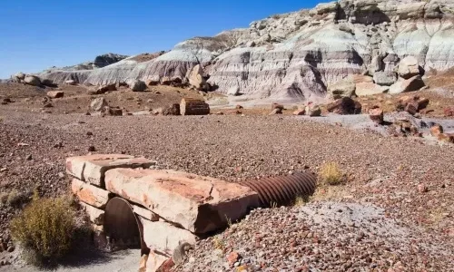 Jasper Forest-Eagle Nest Rock Road Route Jasper Forest-Eagle Nest Rock Road Route