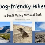 Text Dog-friendly Hikes in Death Valley National Park with three pictures of a dirt road, a dog, and salt crystals and mountains, all in the park