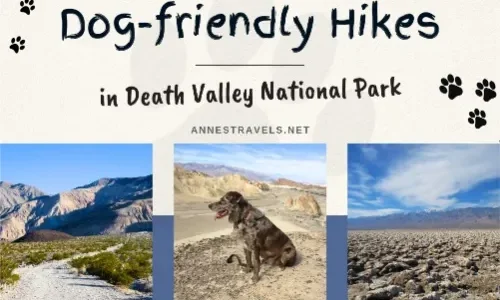 The Best Dog-Friendly Hikes in Death Valley National Park