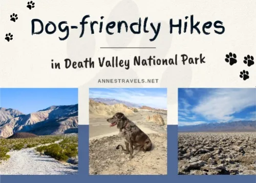 Text Dog-friendly Hikes in Death Valley National Park with three pictures of a dirt road, a dog, and salt crystals and mountains, all in the park