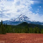 Clouds in a blue sky over a snowy volcano with trees separating the mountain from red cinders on the hill