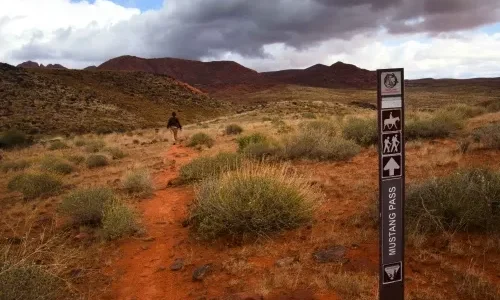 Beautiful Views in Mustang Pass