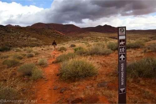 A brown trail sign with icons beside a red trail crossing a desert brushy plain toward hills