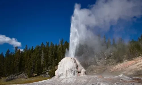 Lone Star Geyser is a Gem Lone Star Geyser is a Gem