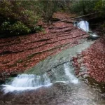 A waterfall flows down a gently-sloped rockface to tumble into a pool bordered by red leaves on rock leges and green bushes