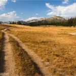 A trail crosses a yellow meadow with mountains and clouds in the sky in the distance